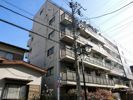 エヴァーグリーン・ラピスの間取り画像