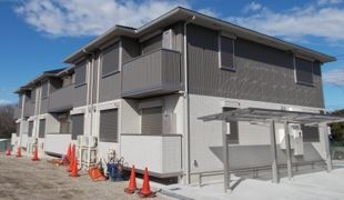 セレナオモダカの外観画像