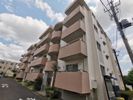 コーポレート本厚木の間取り画像
