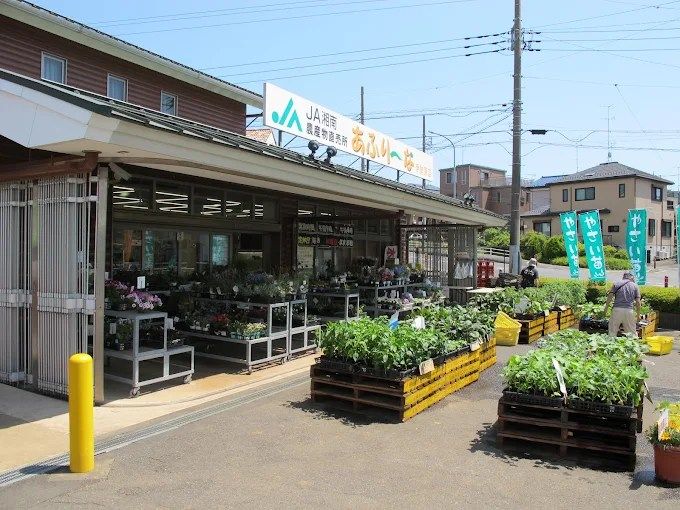 近くのJA湘南 あふり-な伊勢原店まで873m（徒歩11分）