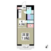 リュミエールIIの間取り画像