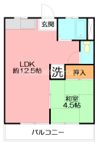 ヴィーナマンションA棟の間取り画像