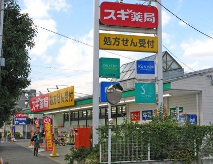 近くのスギドラッグ 厚木愛甲店まで1,053m（徒歩14分）