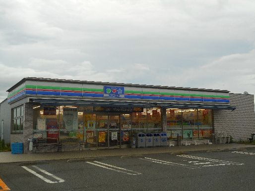 近くのスリーエフ ロードサイド平塚店まで661m（徒歩9分）