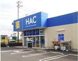 近くのハックドラッグ 藤沢遠藤店まで611m（徒歩8分）