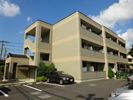 ビオラの間取り画像