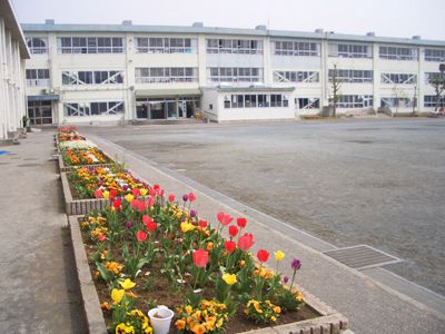 近くの茅ヶ崎市立松林小学校まで861m（徒歩11分）