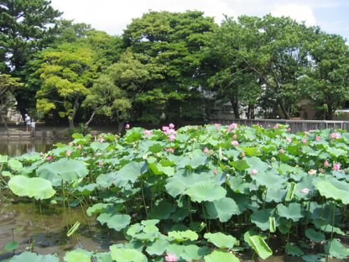 近くの桜小路公園まで597m（徒歩8分）