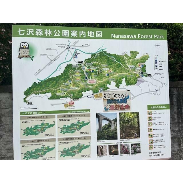 近くの七沢森林公園まで850m(徒歩11分)