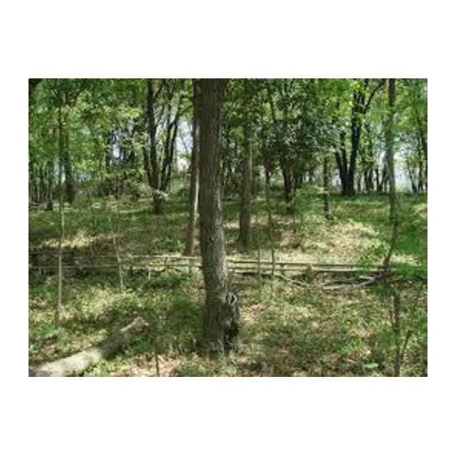 近くの寺尾緑地まで450m(徒歩6分)