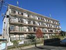 スカイコート前田の間取り画像