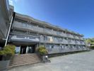 ドルチェ芦屋の間取り画像