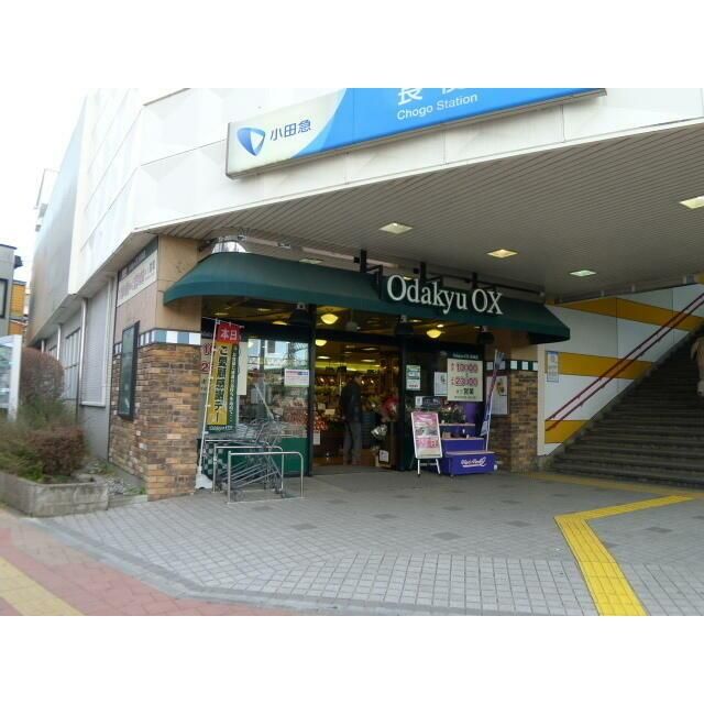 近くのOdakyu　OX長後店まで500m（徒歩7分）