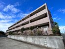 N－flats藤沢善行A棟の間取り画像
