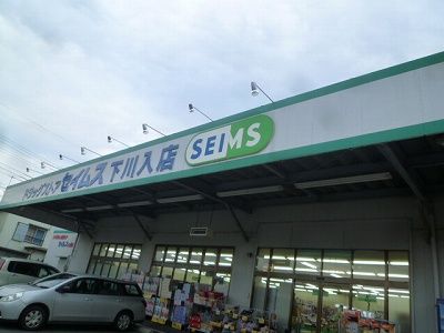 近くのドラッグセイムス 下川入店まで729m（徒歩10分）