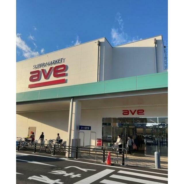 近くのエイヴィ平塚店まで1,310m（徒歩17分）