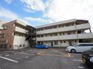 マンション東の間取り画像