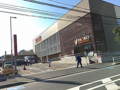 近くのザ・ダイソー ヤオコー平塚宮松町店まで1,018m（徒歩13分）
