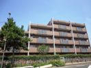 コンフォール湘南の間取り画像