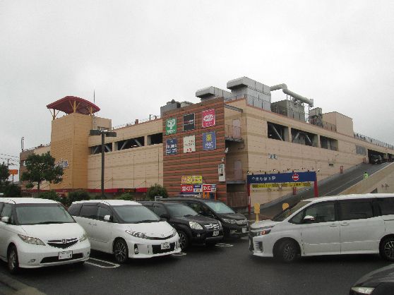 近くのザ・ダイソー 綾瀬タウンヒルズ店まで545m（徒歩7分）