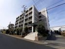 ドミトリーハウス湘南の間取り画像
