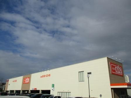 近くのザ・ビッグ平塚真田店まで368m（徒歩5分）
