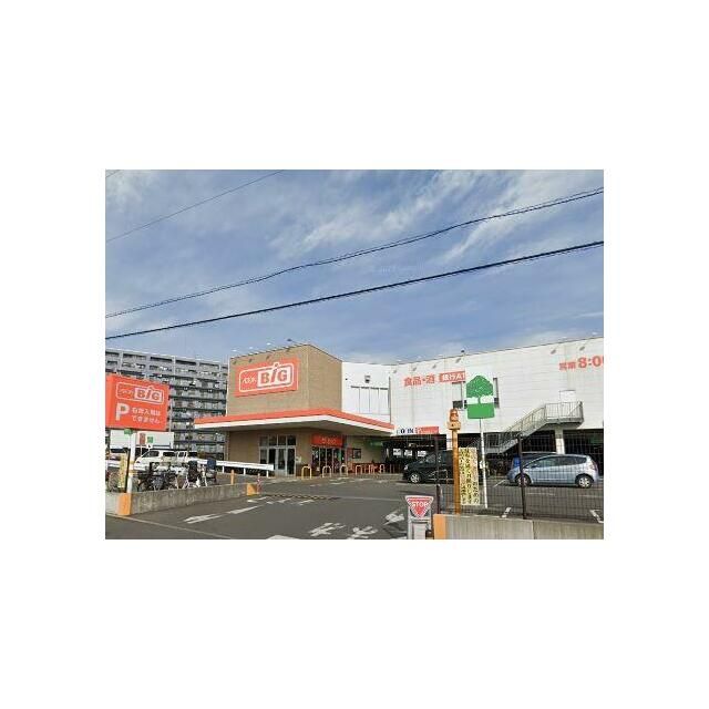 近くのザ・ビッグ平塚真田店まで405m（徒歩6分）