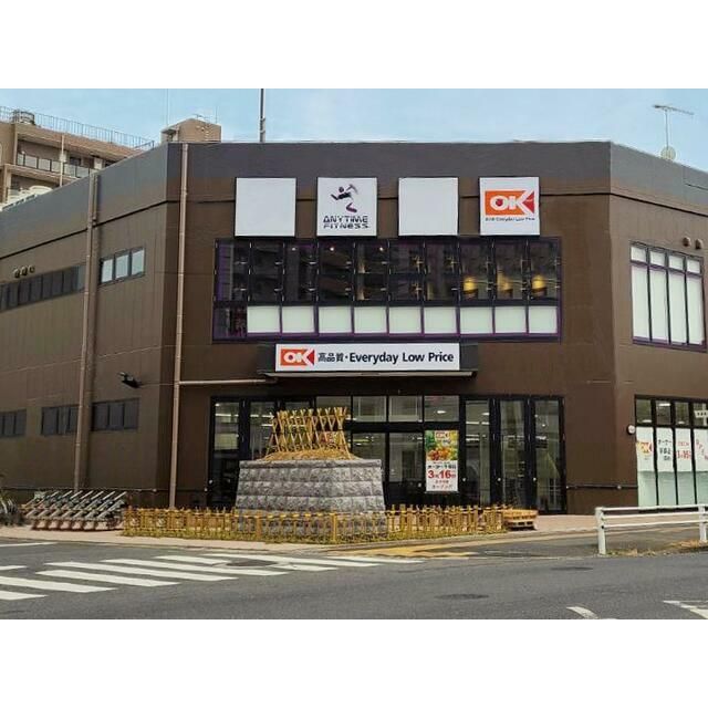 近くのオーケー平塚店まで766m（徒歩10分）