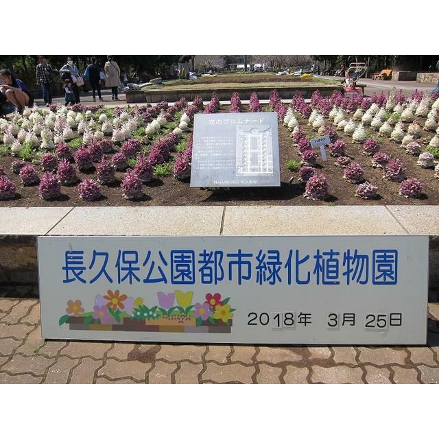 近くの長久保公園都市緑化植物園（徒歩約7分）まで600m（徒歩8分）