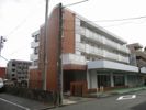 水嶋ハイツの間取り画像