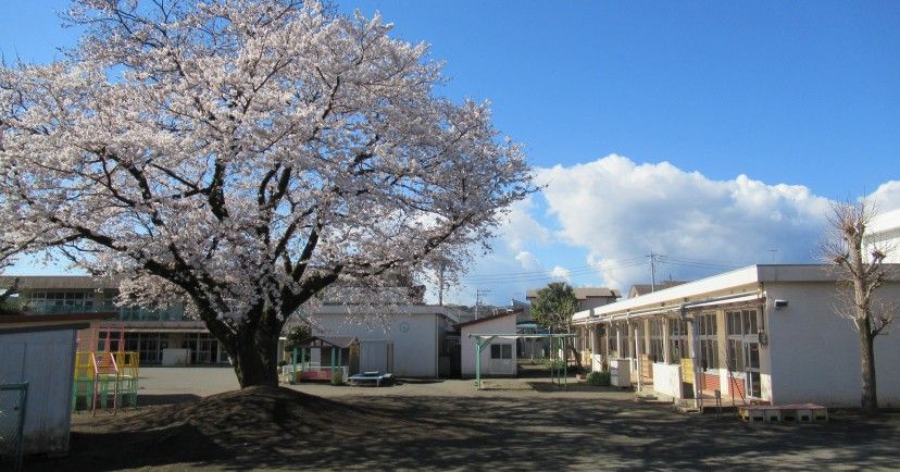 近くの秦野市立西幼稚園まで460m（徒歩6分）