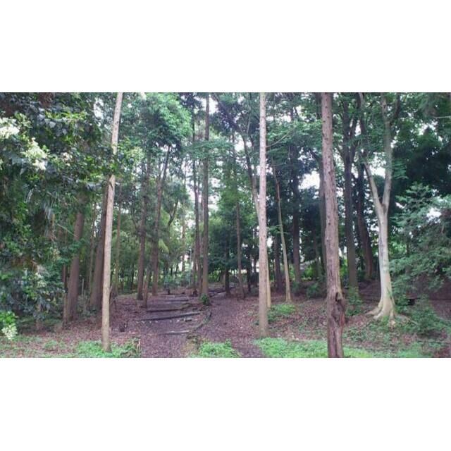 近くの寺尾緑地まで440m（徒歩6分）