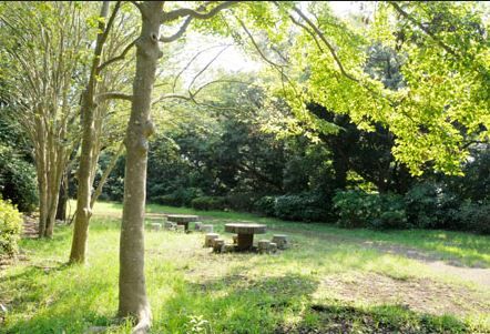近くの片瀬山公園まで1,465m（徒歩19分）
