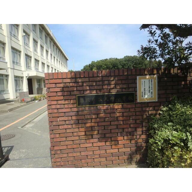 近くの藤沢市立天神小学校まで244m(徒歩4分)