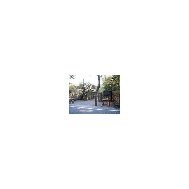 近くの高砂緑地まで669m（徒歩9分）