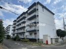 テレパレス伊勢原1号棟の間取り画像