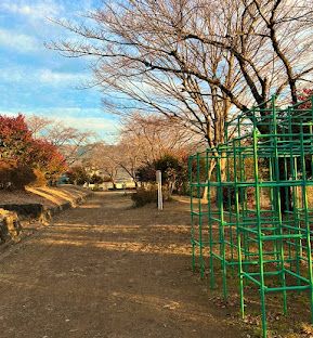 近くのやまの台緑地まで1,069m(徒歩14分)
