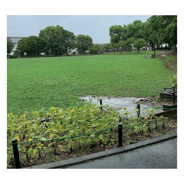 近くの洋光台北公園まで721m（徒歩10分）