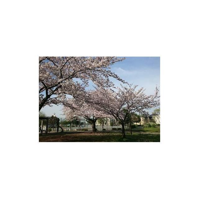 近くの天神公園まで679m(徒歩9分)