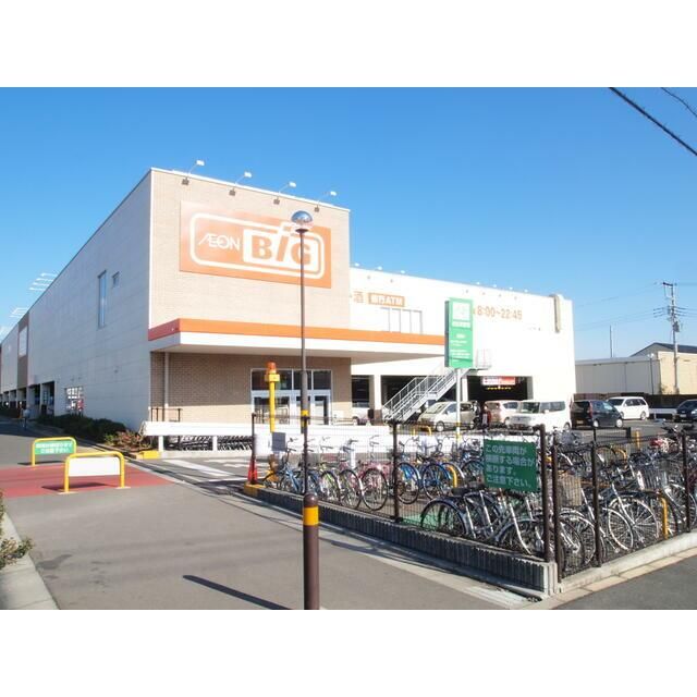 近くのザ・ビッグ平塚真田店まで920m（徒歩12分）