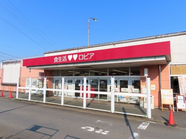 近くのロピア渋沢店まで775m（徒歩10分）