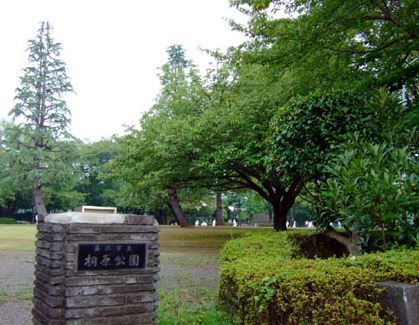 近くの桐原公園まで336m（徒歩5分）