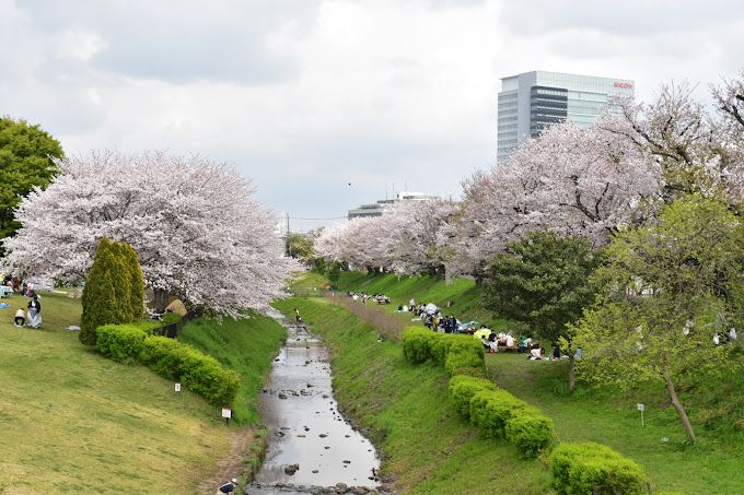 近くの相模三川公園まで576m（徒歩8分）