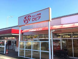 近くのロピア渋沢店まで802m（徒歩11分）