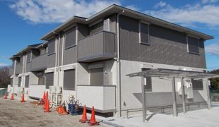 セレナオモダカの外観画像