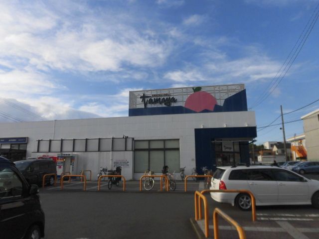 近くのたまや浜見平店まで400m（徒歩5分）