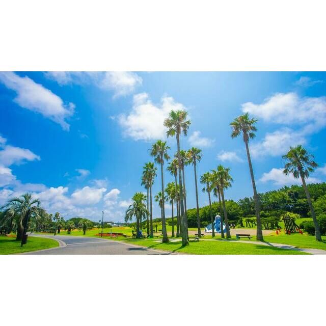 近くの辻堂海浜公園まで1,049m（徒歩14分）