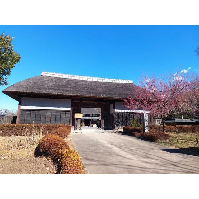 近くの本郷ふじやま公園まで917m（徒歩12分）