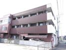 井上ビルの間取り画像