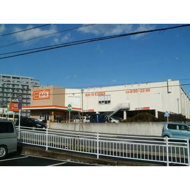 近くのザ・ビッグ平塚真田店まで597m（徒歩8分）